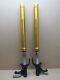 Yamaha Tracer 900gt 2020 14,834 Miles Fork Tube Stanchions (13217)